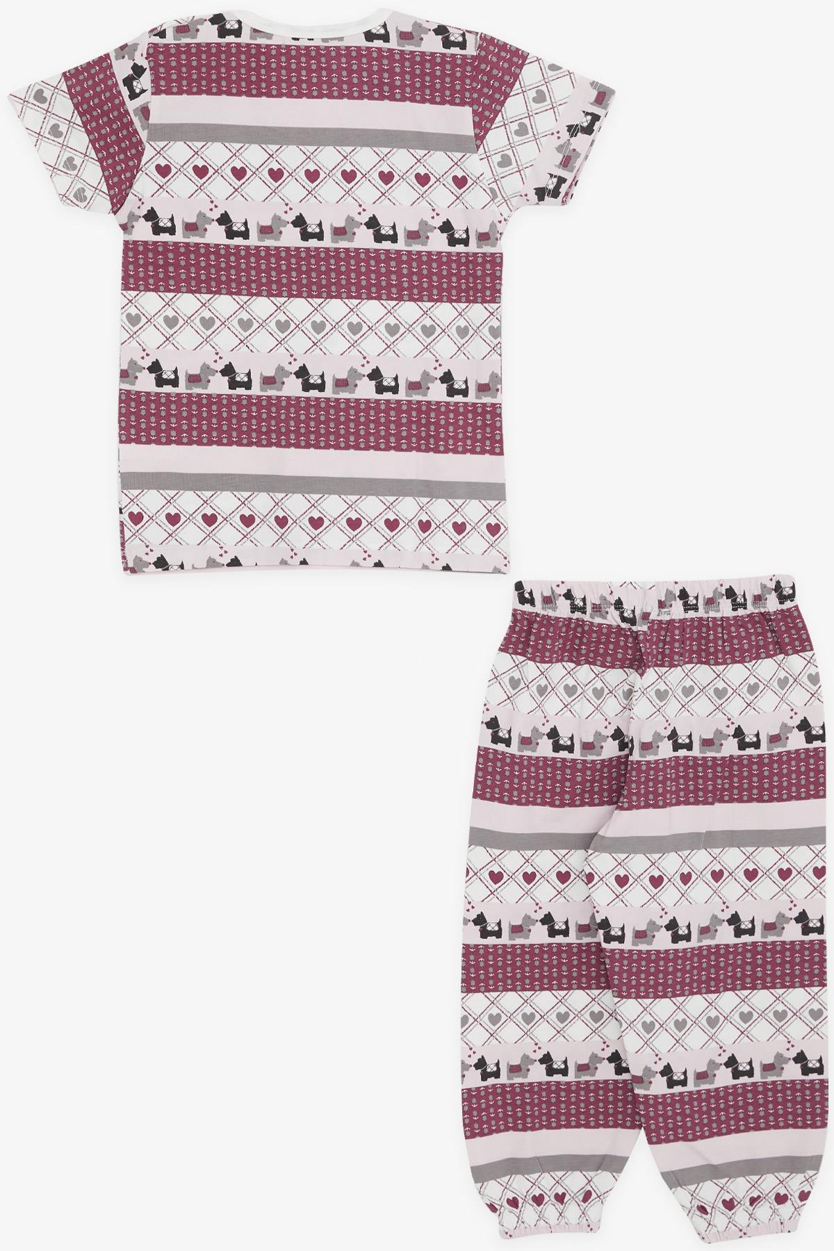 Breeze Kız Bebek Pijama Takımı Köpekçik Desenli Karışık Renk (9 Ay-3 Yaş)
