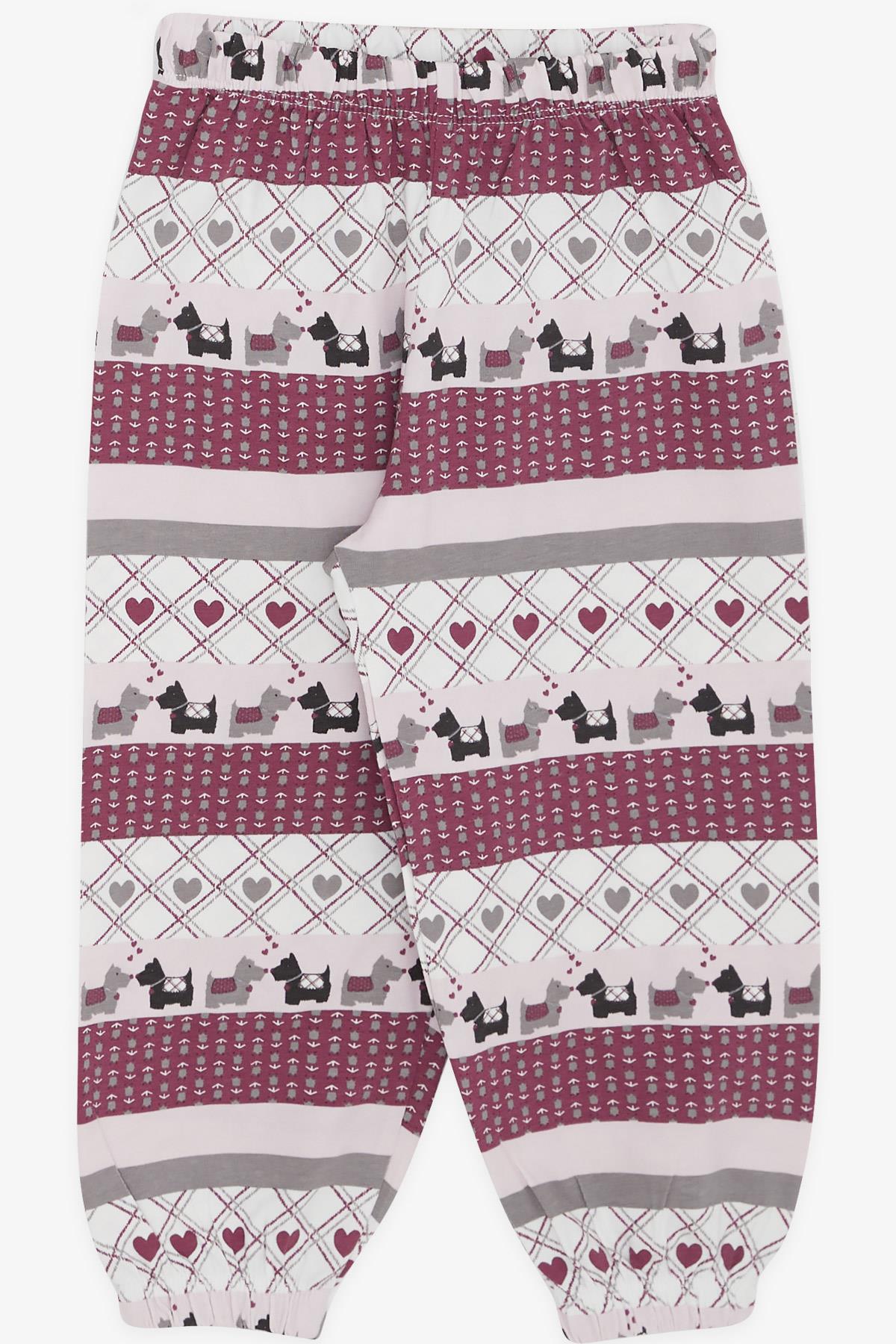 Breeze Kız Bebek Pijama Takımı Köpekçik Desenli Karışık Renk (9 Ay-3 Yaş)