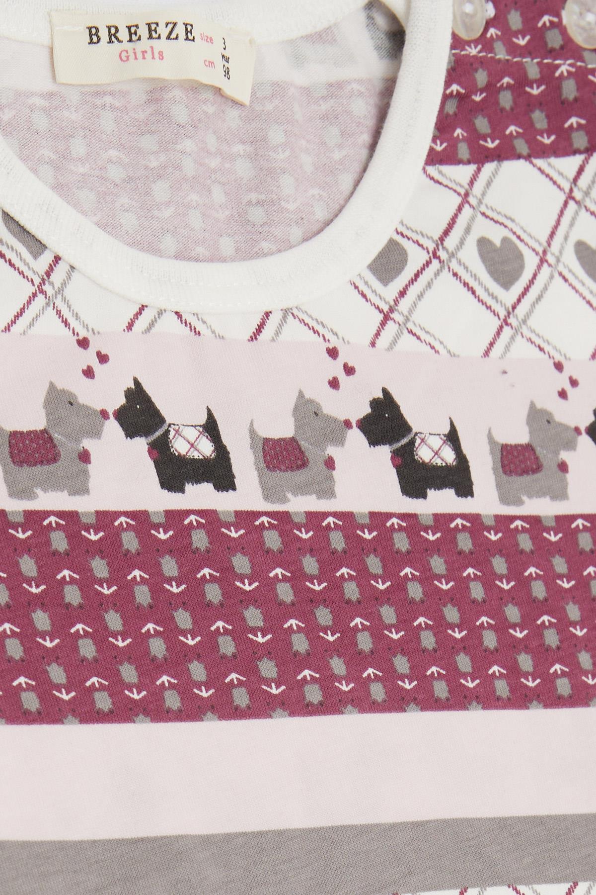 Breeze Kız Bebek Pijama Takımı Köpekçik Desenli Karışık Renk (9 Ay-3 Yaş)