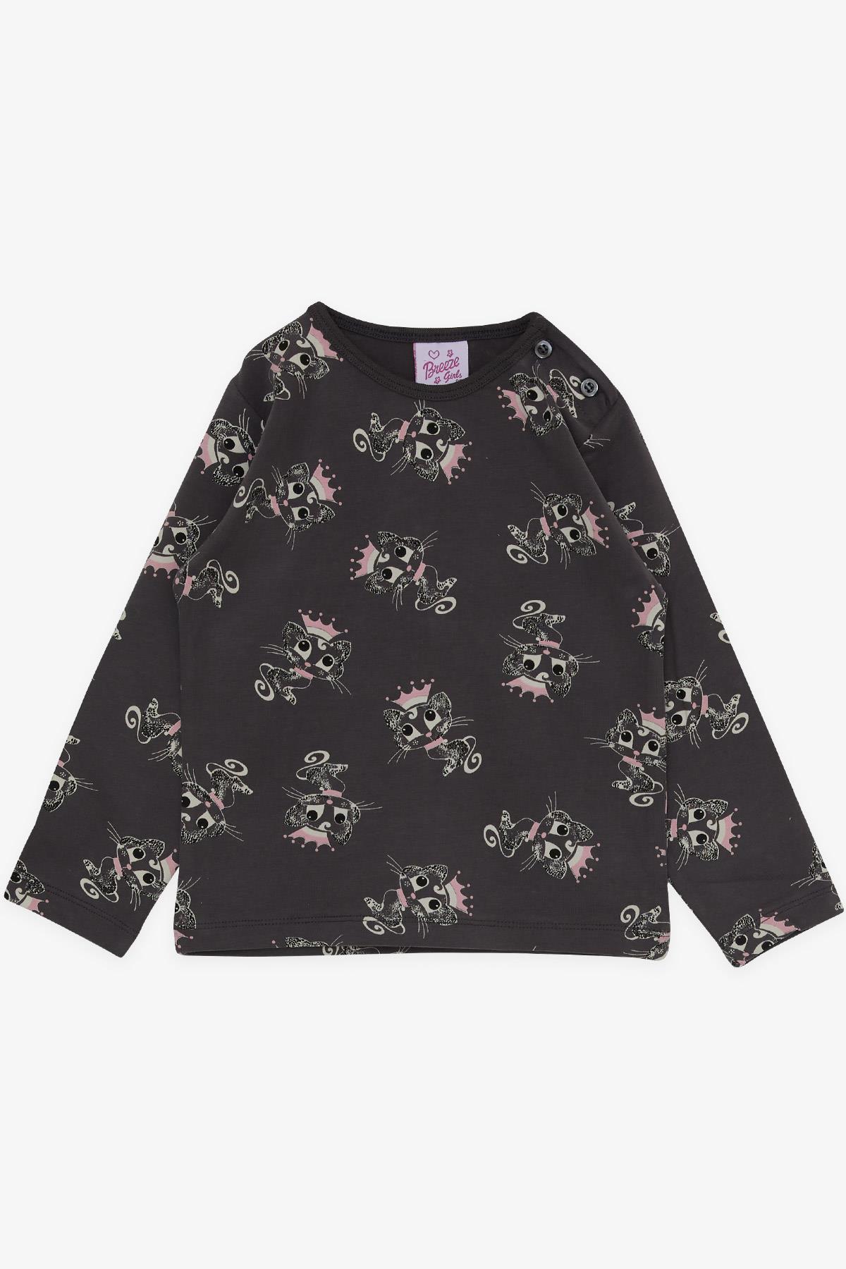 Breeze Kız Bebek Pijama Takımı Kraliçe Kedicik Desenli Füme (9 Ay-3 Yaş)
