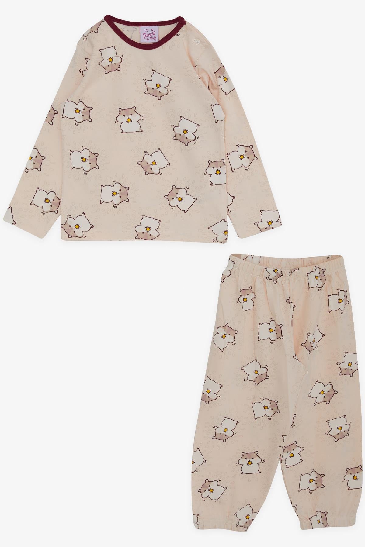 Breeze Kız Bebek Pijama Takımı Sevimli Hamster Desenli Pudra (9 Ay-3 Yaş)