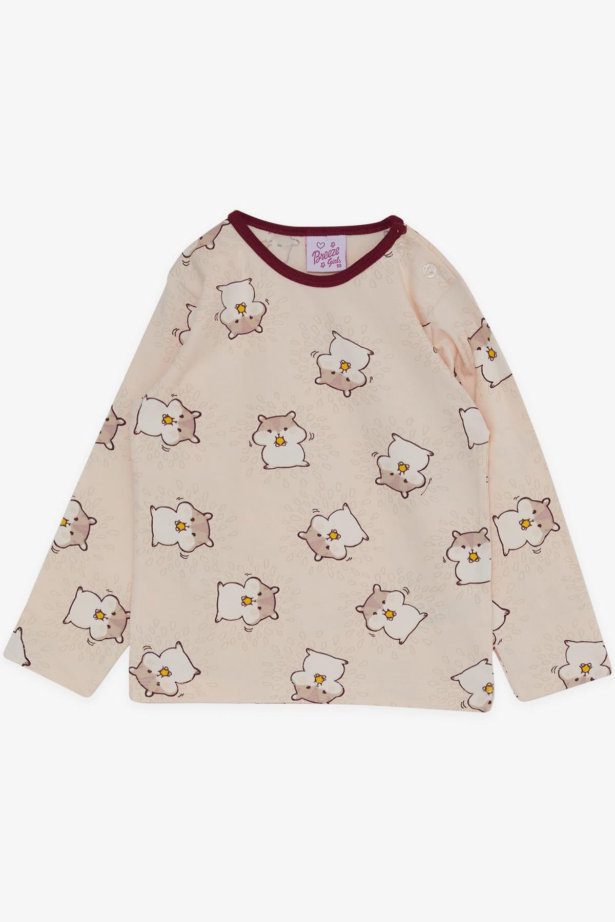 Breeze Kız Bebek Pijama Takımı Sevimli Hamster Desenli Pudra (9 Ay-3 Yaş)