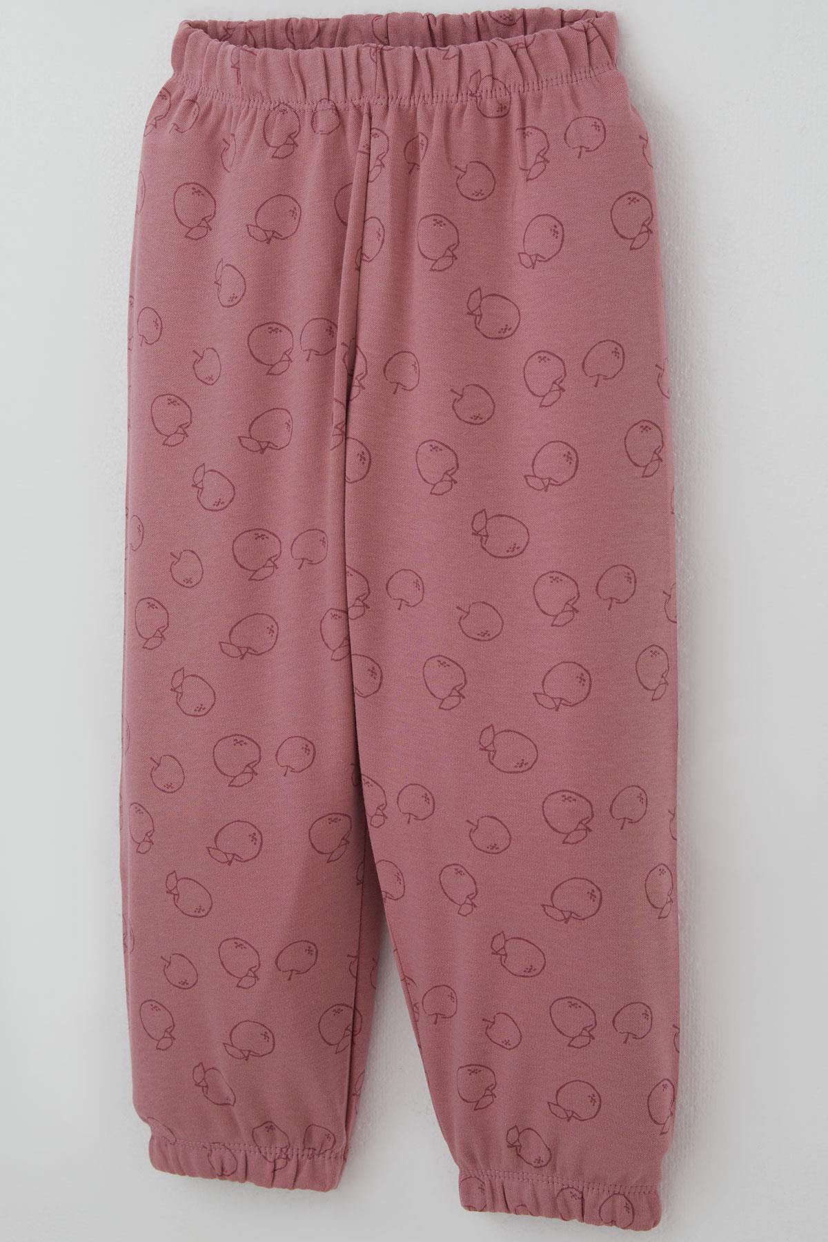 Breeze Kız Bebek Pijama Takımı Tatlı Elmacık Rüyası Gülkurusu (9 Ay-3 Yaş)