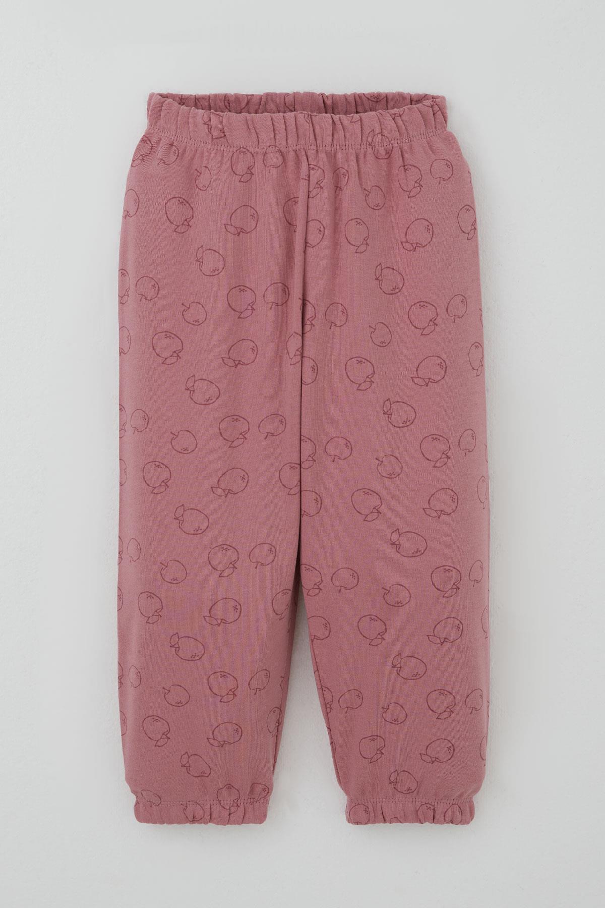 Breeze Kız Bebek Pijama Takımı Tatlı Elmacık Rüyası Gülkurusu (9 Ay-3 Yaş)