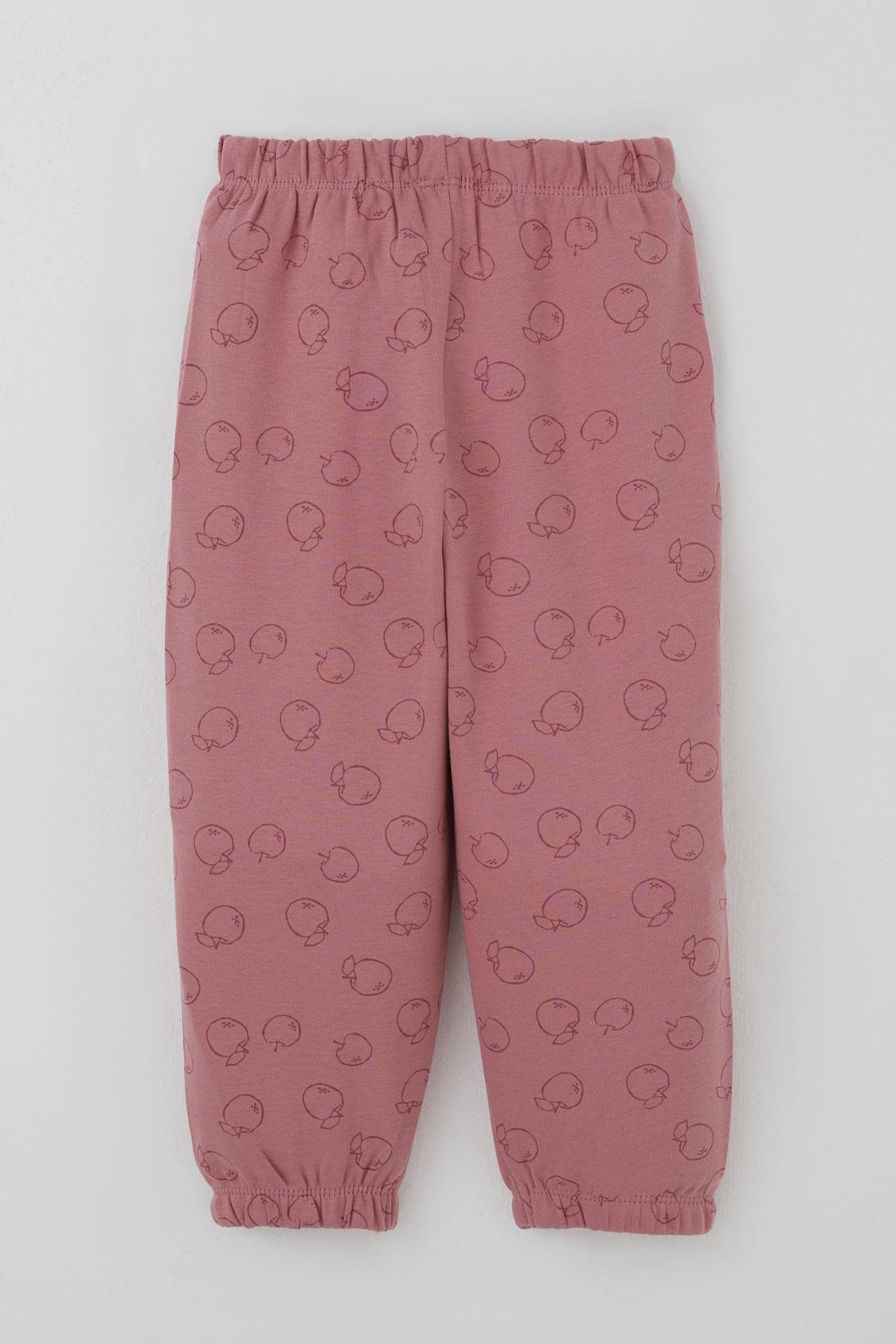 Breeze Kız Bebek Pijama Takımı Tatlı Elmacık Rüyası Gülkurusu (9 Ay-3 Yaş)