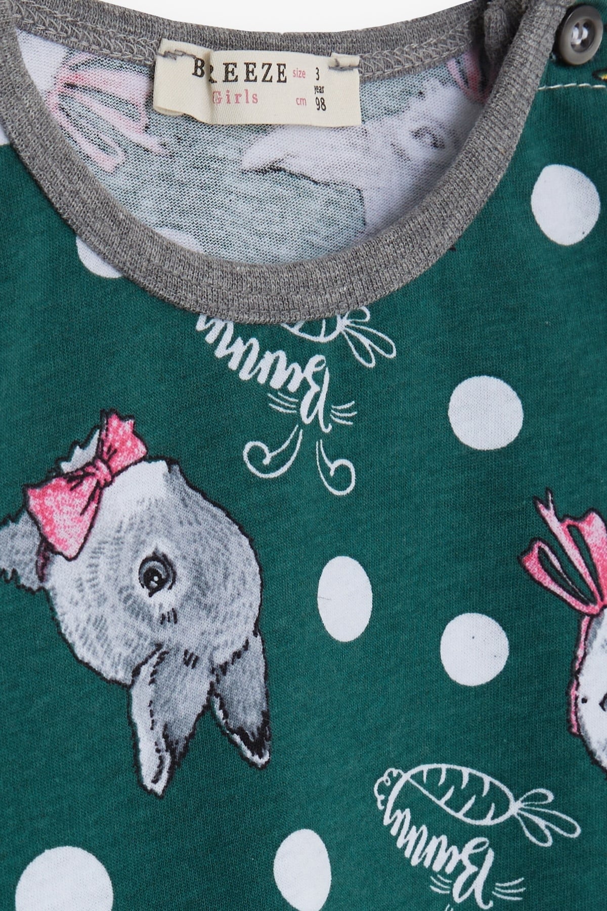 Breeze Kız Bebek Pijama Takımı Tavşancık Desenli Yeşil (9 Ay-3 Yaş)