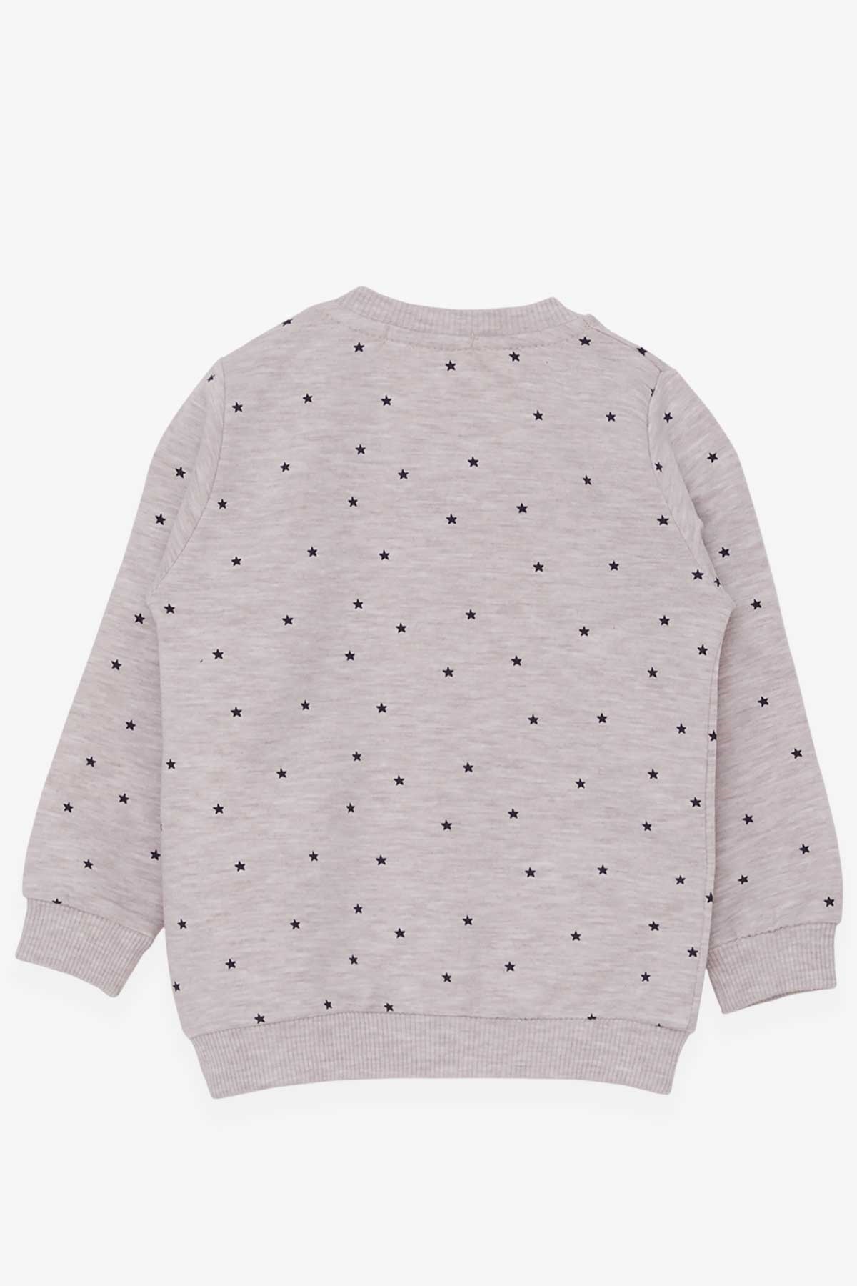 Breeze Kız Bebek Sweatshirt Mutlu Kedicikler Pudra (4 Ay-1.5 Yaş)