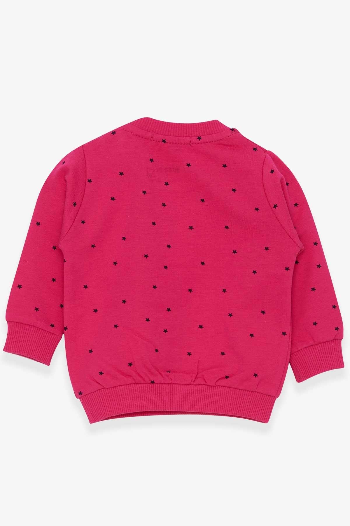 Breeze Kız Bebek Sweatshirt Mutlu Kedicikler Fuşya (4 Ay-1.5 Yaş)