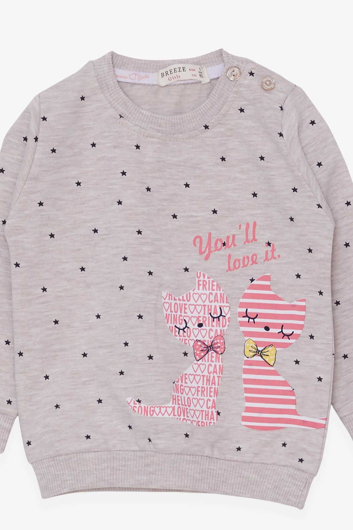 Breeze Kız Bebek Sweatshirt Mutlu Kedicikler Pudra (4 Ay-1.5 Yaş)