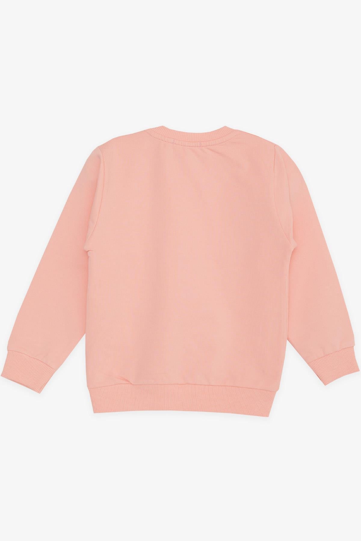 Breeze Kız Bebek Sweatshirt Simli Çiçek Baskılı Somon (9 Ay-3 Yaş)