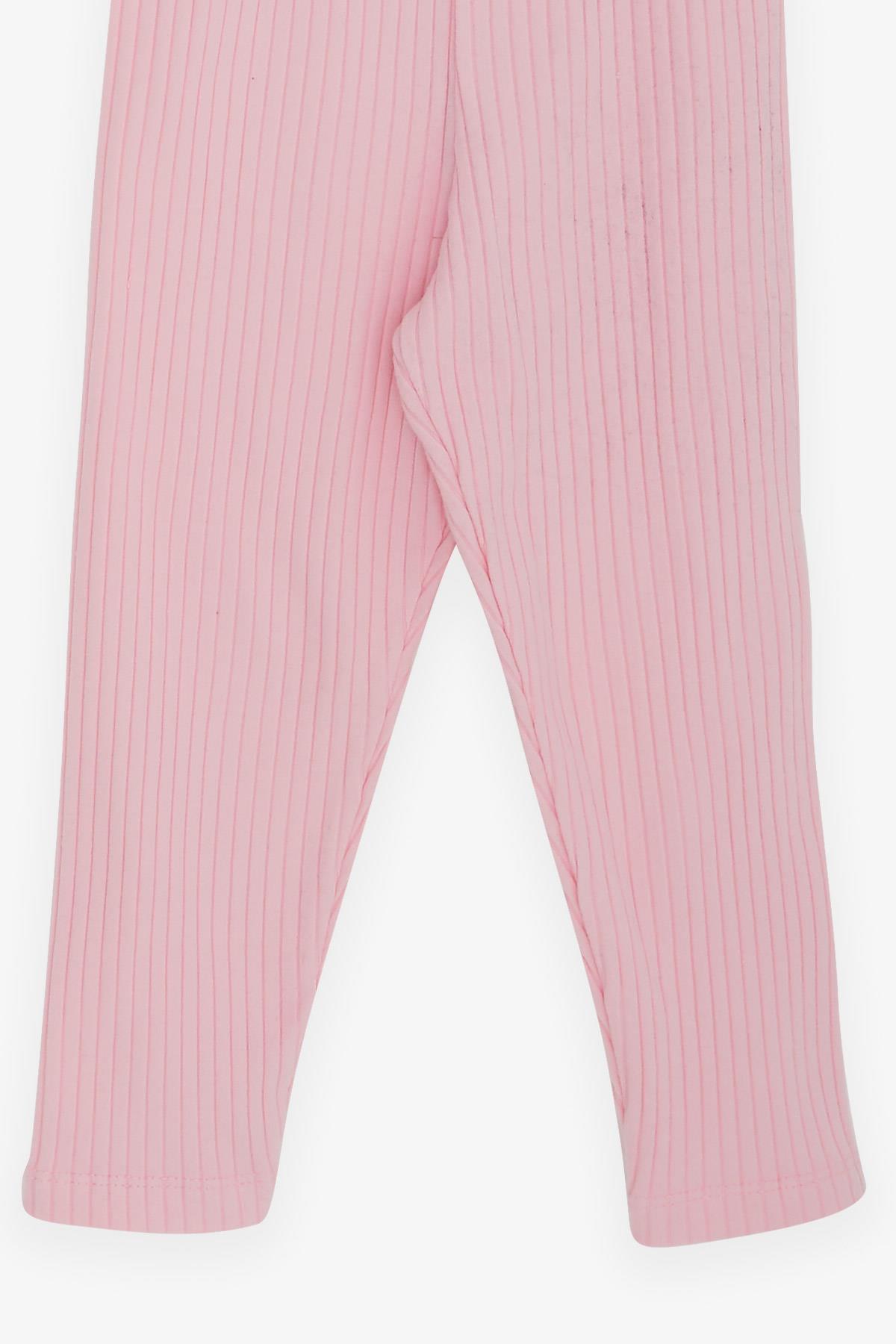 Breeze Kız Bebek Taytlı Takım Bebek Ayıcık Nakışlı Pembe (9 Ay-3 Yaş)