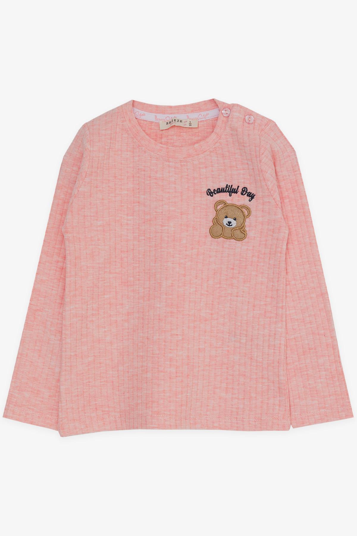 Breeze Kız Bebek Taytlı Takım Bebek Ayıcık Nakışlı Somon Melanj (9 Ay-3 Yaş)