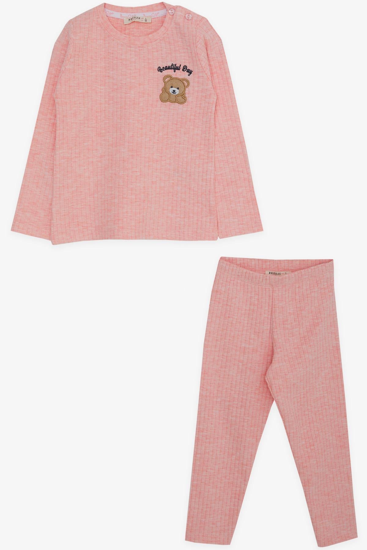 Breeze Kız Bebek Taytlı Takım Bebek Ayıcık Nakışlı Somon Melanj (9 Ay-3 Yaş)
