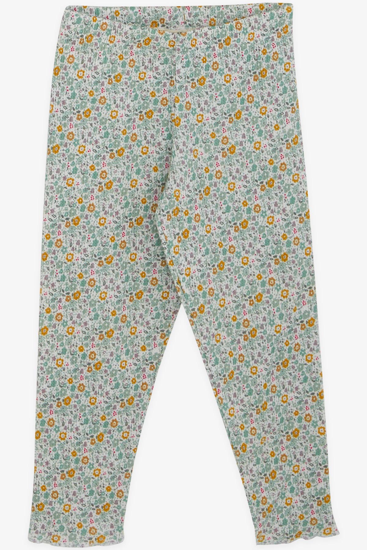 Breeze Kız Bebek Taytlı Takım Çiçek Desenli Karışık Renk (9 Ay-3 Yaş)