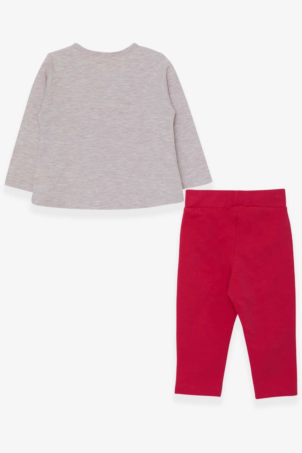 Breeze Kız Bebek Taytlı Takım Kedicik Baskılı Bej Melanj (9 Ay-3 Yaş)