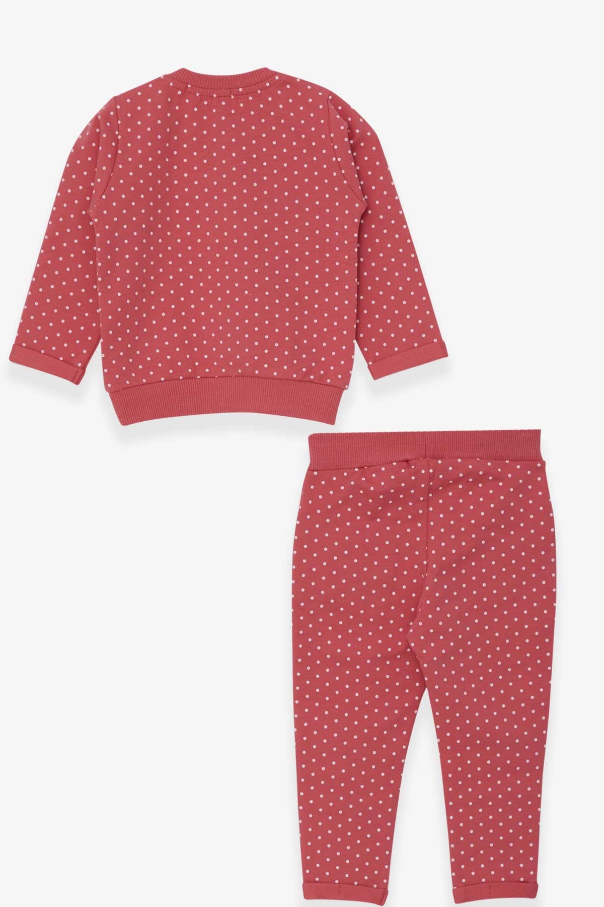 Breeze Kız Bebek Taytlı Takım Simli Puantiye Baskılı Kiremit (9 Ay-3 Yaş)