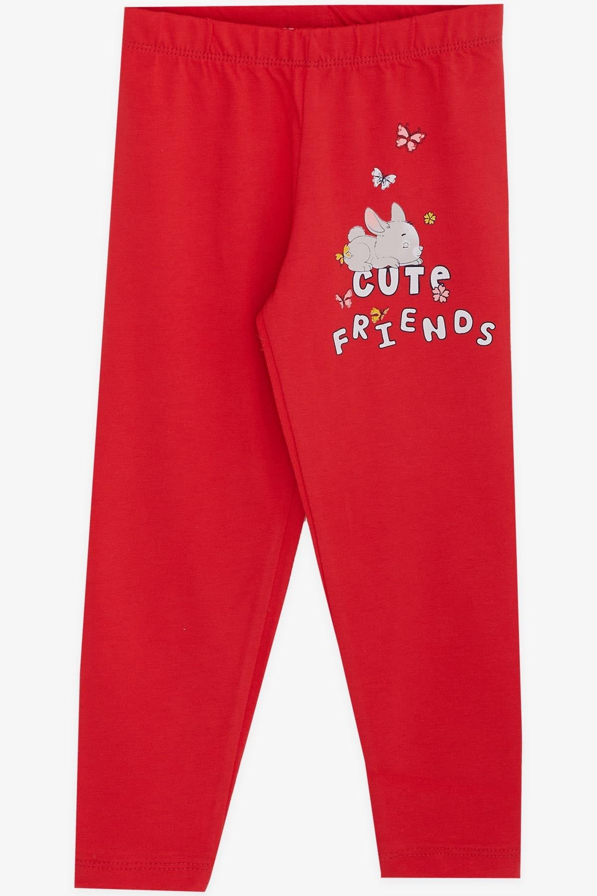 Breeze Kız Bebek Taytlı Takım Tavşan Baskılı Bej Melanj (9 Ay-3 Yaş)