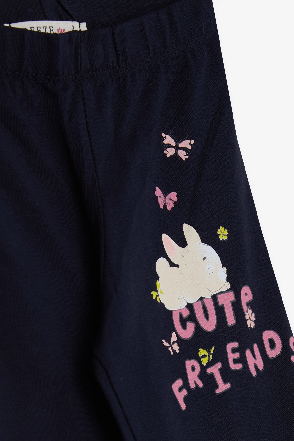 Breeze Kız Bebek Taytlı Takım Tavşan Baskılı Somon (9 Ay-3 Yaş)