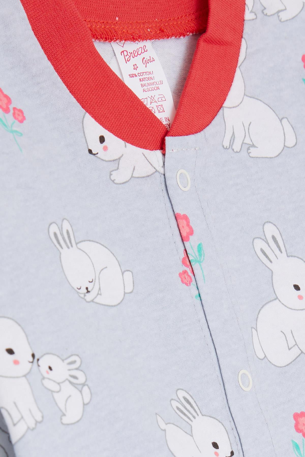 Breeze Kız Bebek Tulum Bahar Temalı Tavşancık Desenli Buz Mavisi (0-3 Ay-6 Ay)