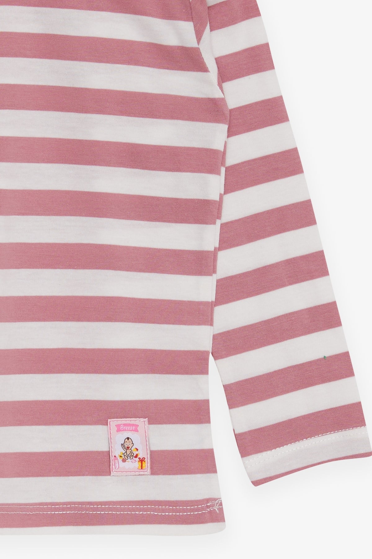 Breeze Kız Bebek Uzun Kollu Tişört Çizgili Gülkurusu (9 Ay-3 Yaş)