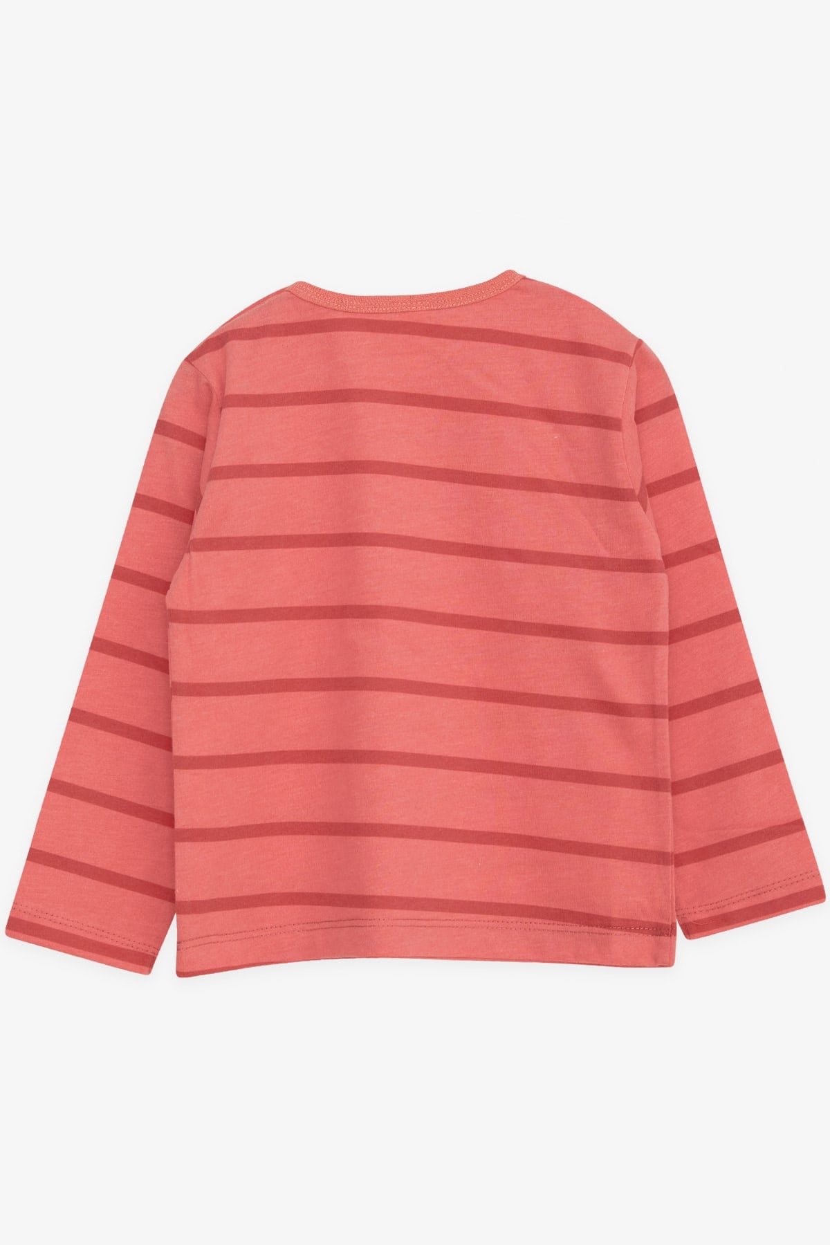 Breeze Kız Bebek Uzun Kollu Tişört Patlı Çizgili Bebek Baskılı Somon (9 Ay-3 Yaş)