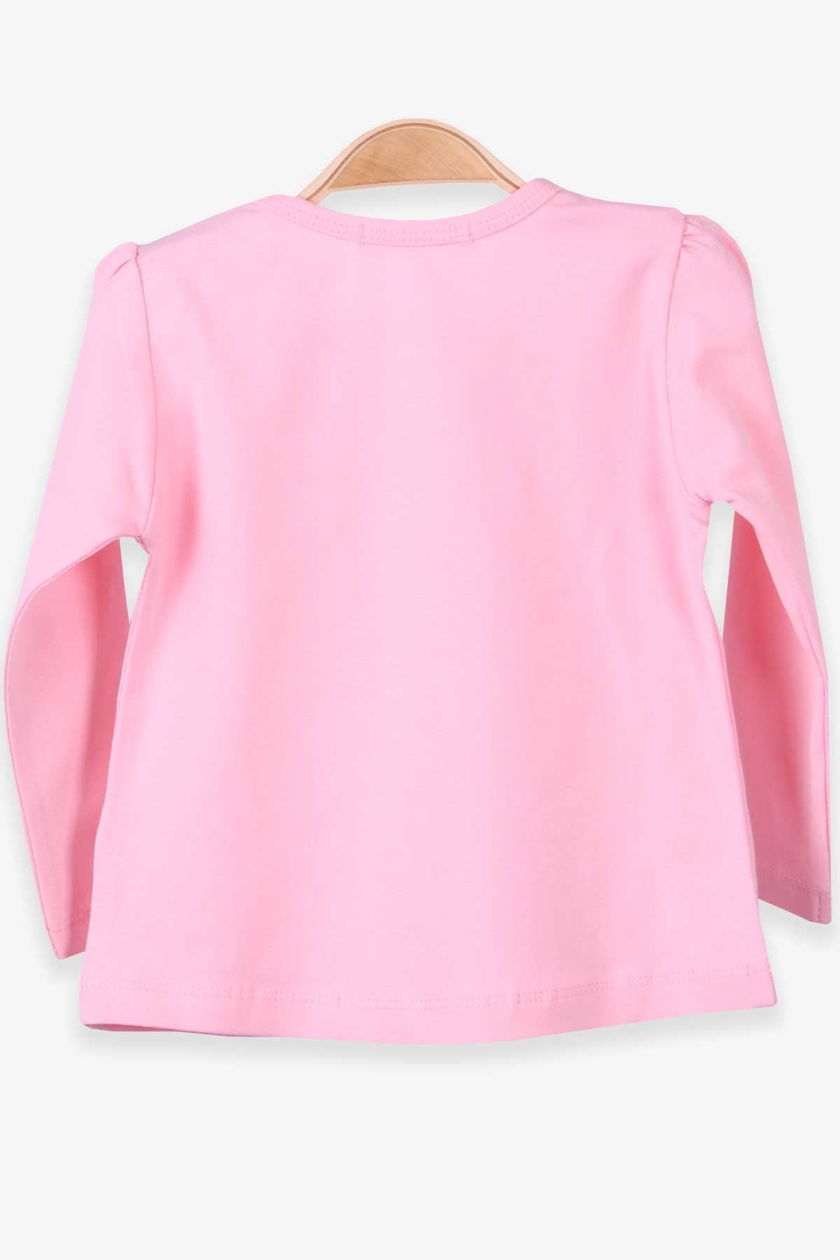 Breeze Kız Bebek Uzun Kollu Tişört Tavşan Nakışlı Pudra (9 Ay-3 Yaş)