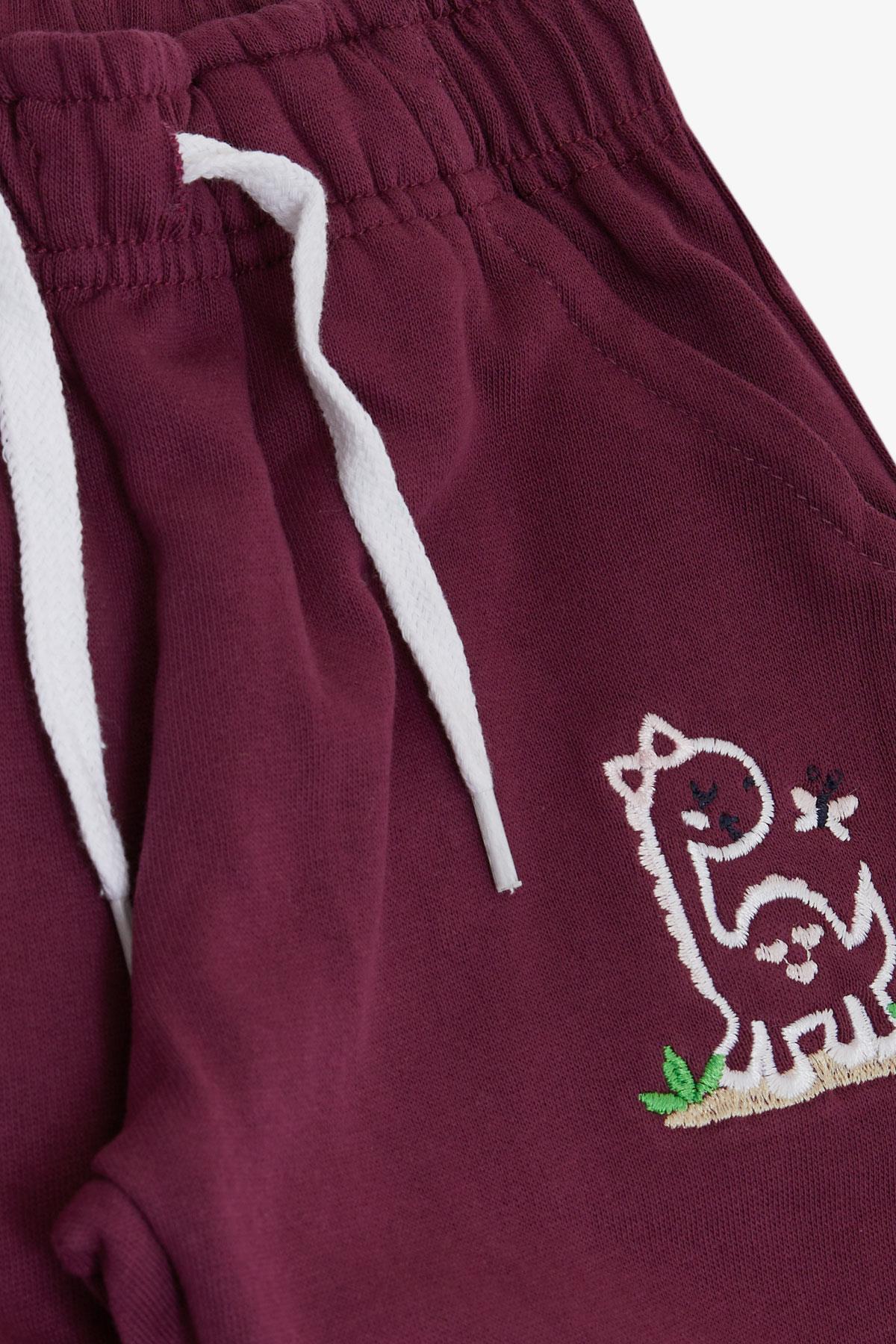 Breeze Kız Çocuk Alt Sevimli Dinozor & Kelebek Nakış Baskılı Mürdüm (1-4 Yaş)