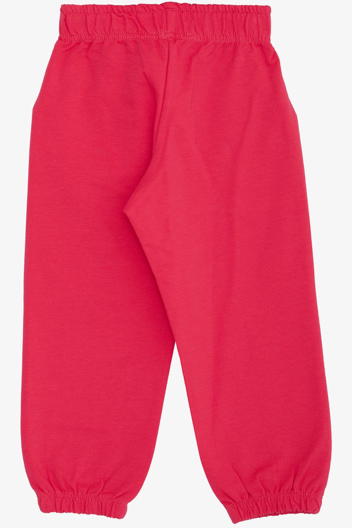 Breeze Kız Çocuk Alt Sevimli Dinozor & Kelebek Nakış Baskılı Pembe (1-4 Yaş)