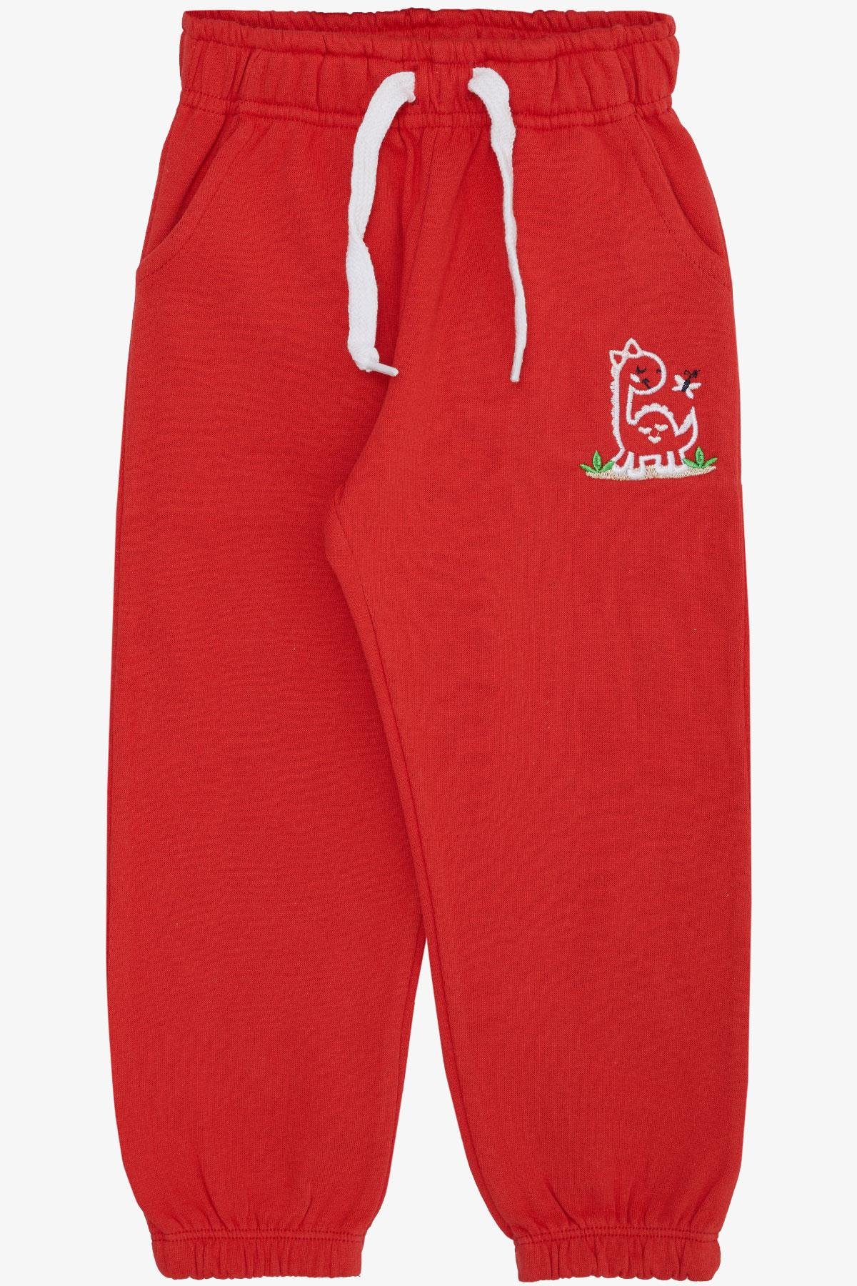 Breeze Kız Çocuk Alt Sevimli Dinozor & Kelebek Nakış Baskılı Narçiçeği (1-4 Yaş)