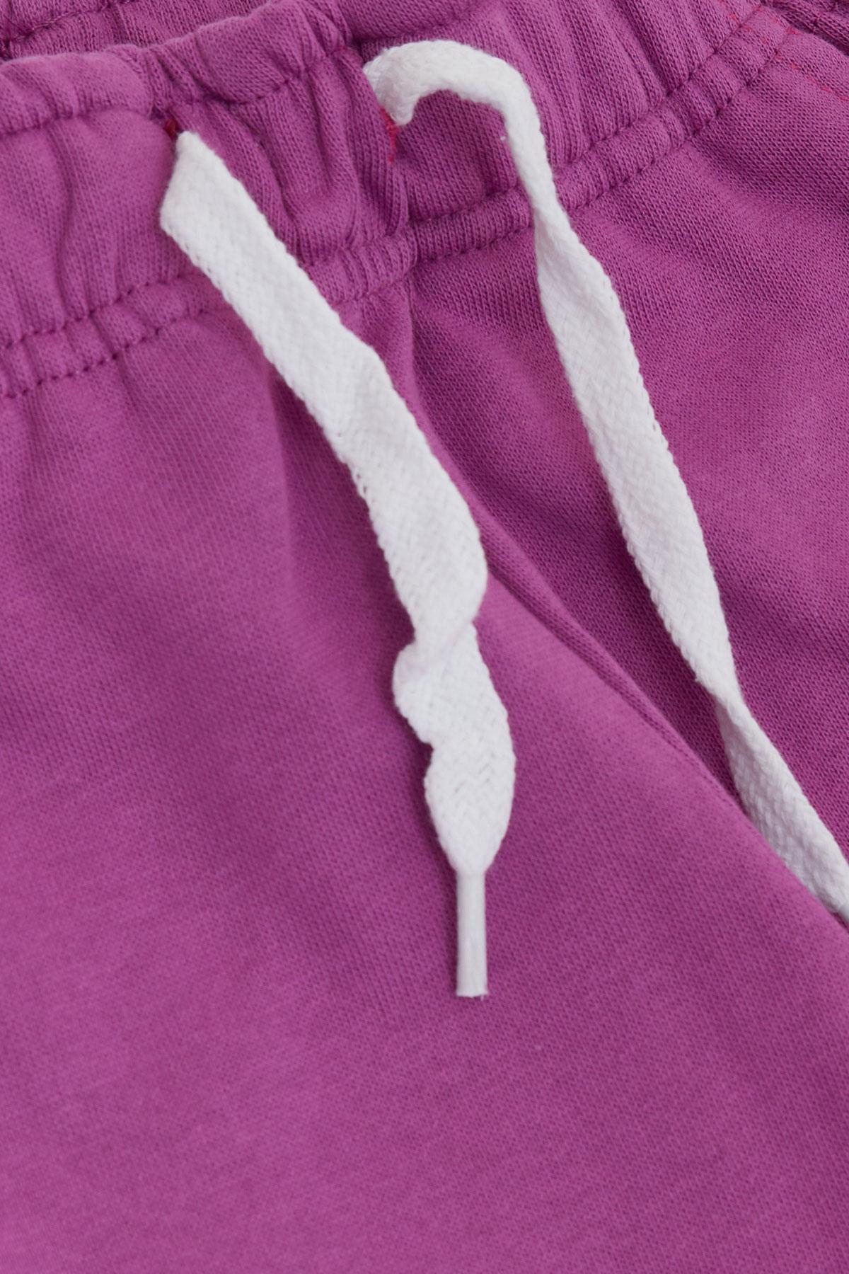 Breeze Kız Çocuk Alt Sevimli Dinozor & Kelebek Nakış Baskılı Eflatun (1-4 Yaş)