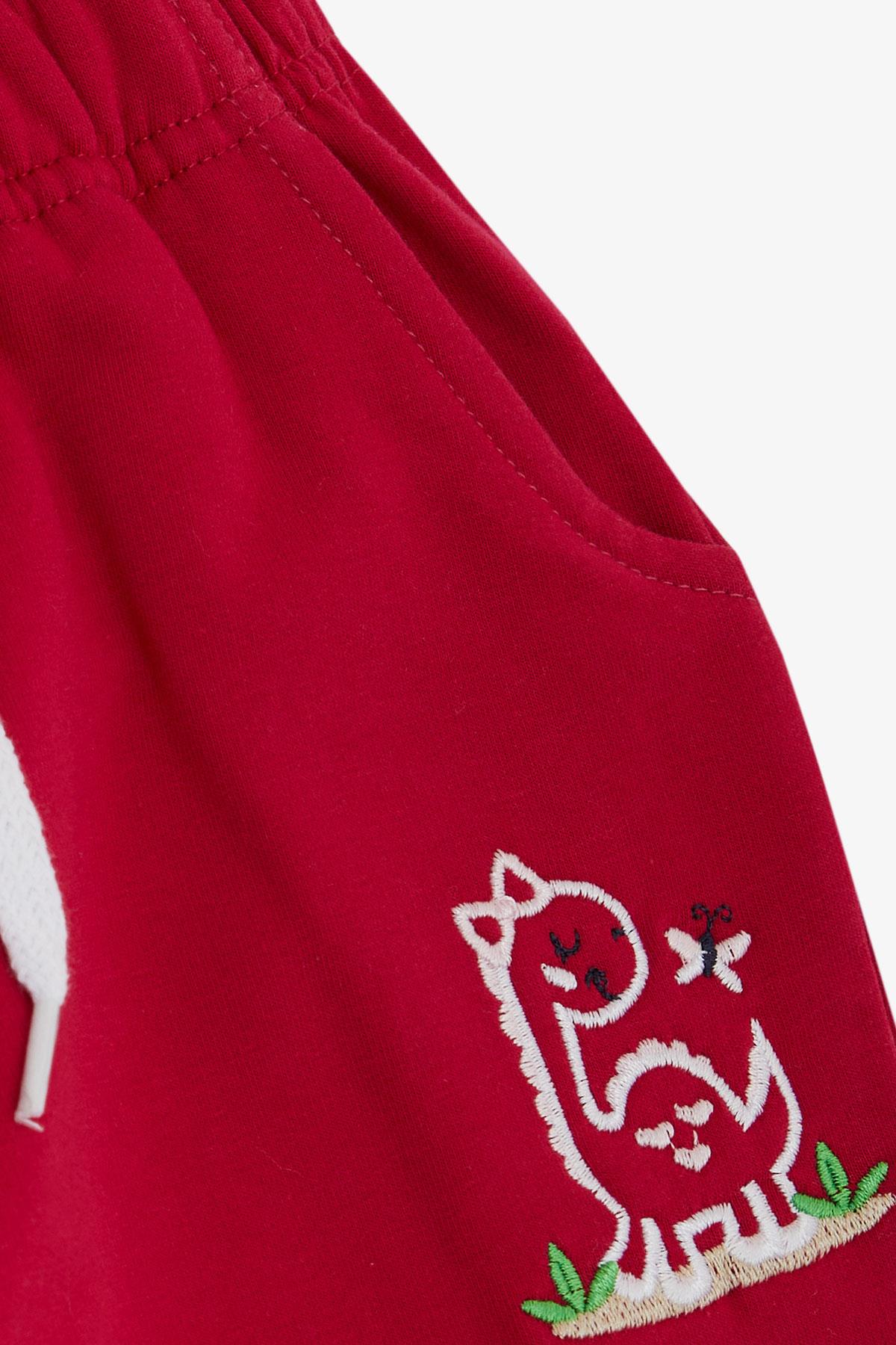 Breeze Kız Çocuk Alt Sevimli Dinozor & Kelebek Nakış Baskılı Fuşya (1-4 Yaş)