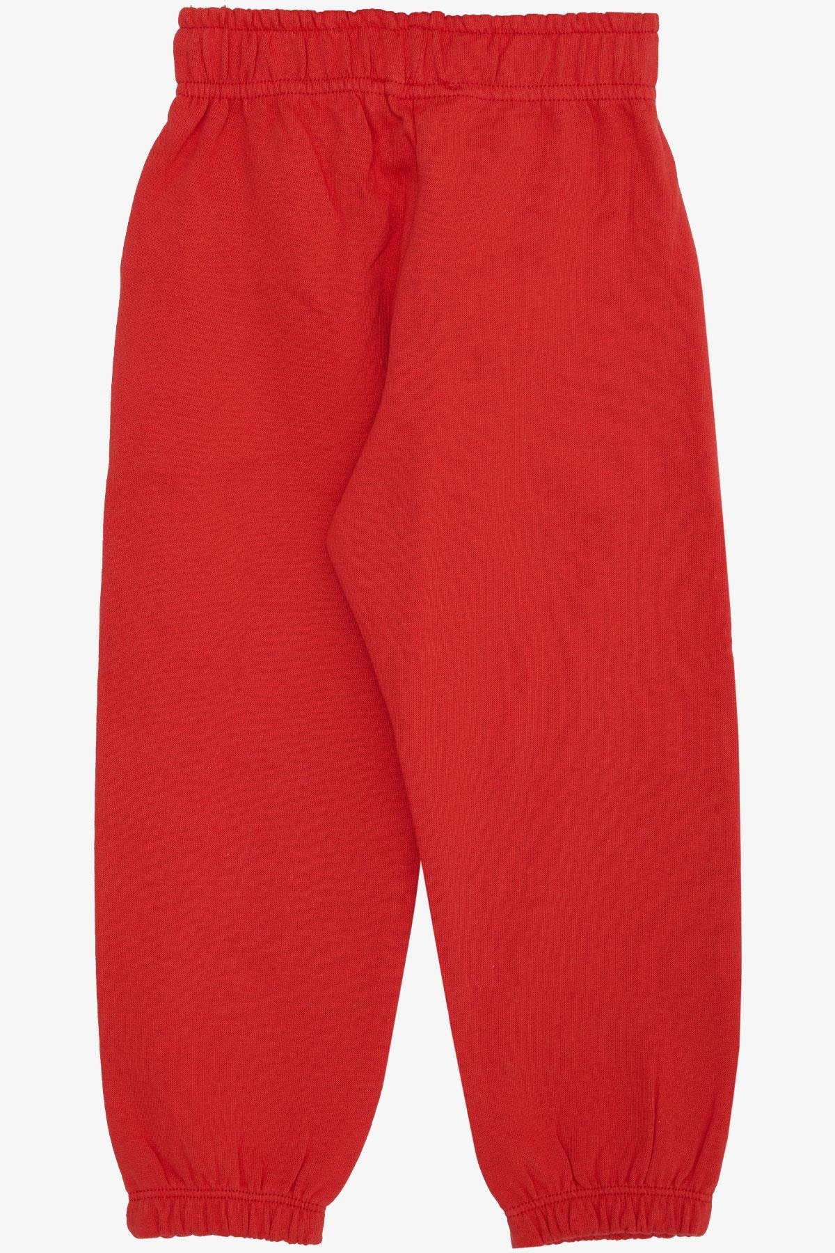 Breeze Kız Çocuk Alt Sevimli Dinozor & Kelebek Nakış Baskılı Narçiçeği (1-4 Yaş)