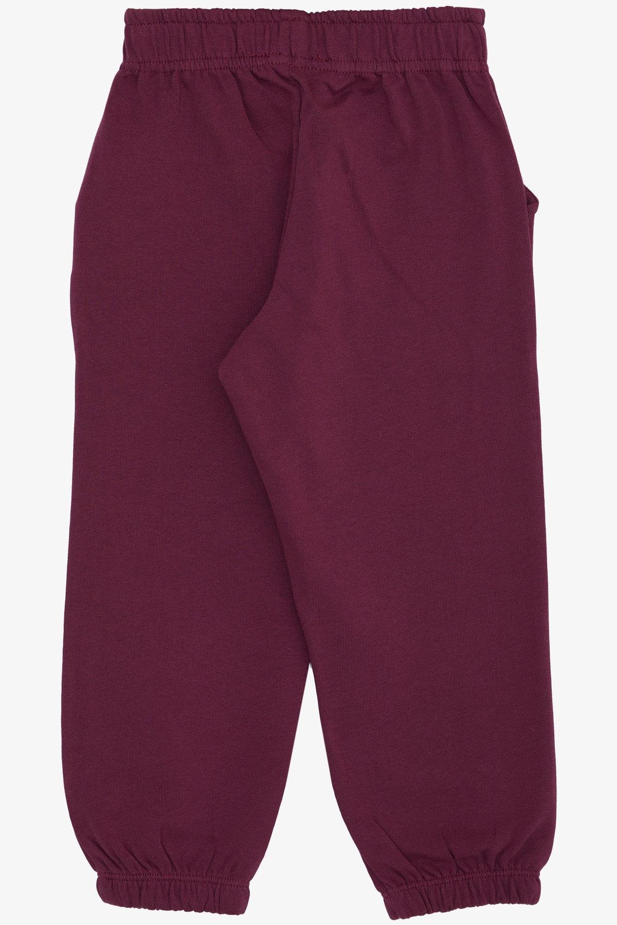 Breeze Kız Çocuk Alt Sevimli Dinozor & Kelebek Nakış Baskılı Mürdüm (1-4 Yaş)