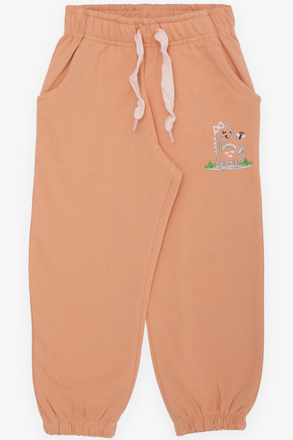 Breeze Kız Çocuk Alt Sevimli Dinozor & Kelebek Nakış Baskılı Somon (1-4 Yaş)