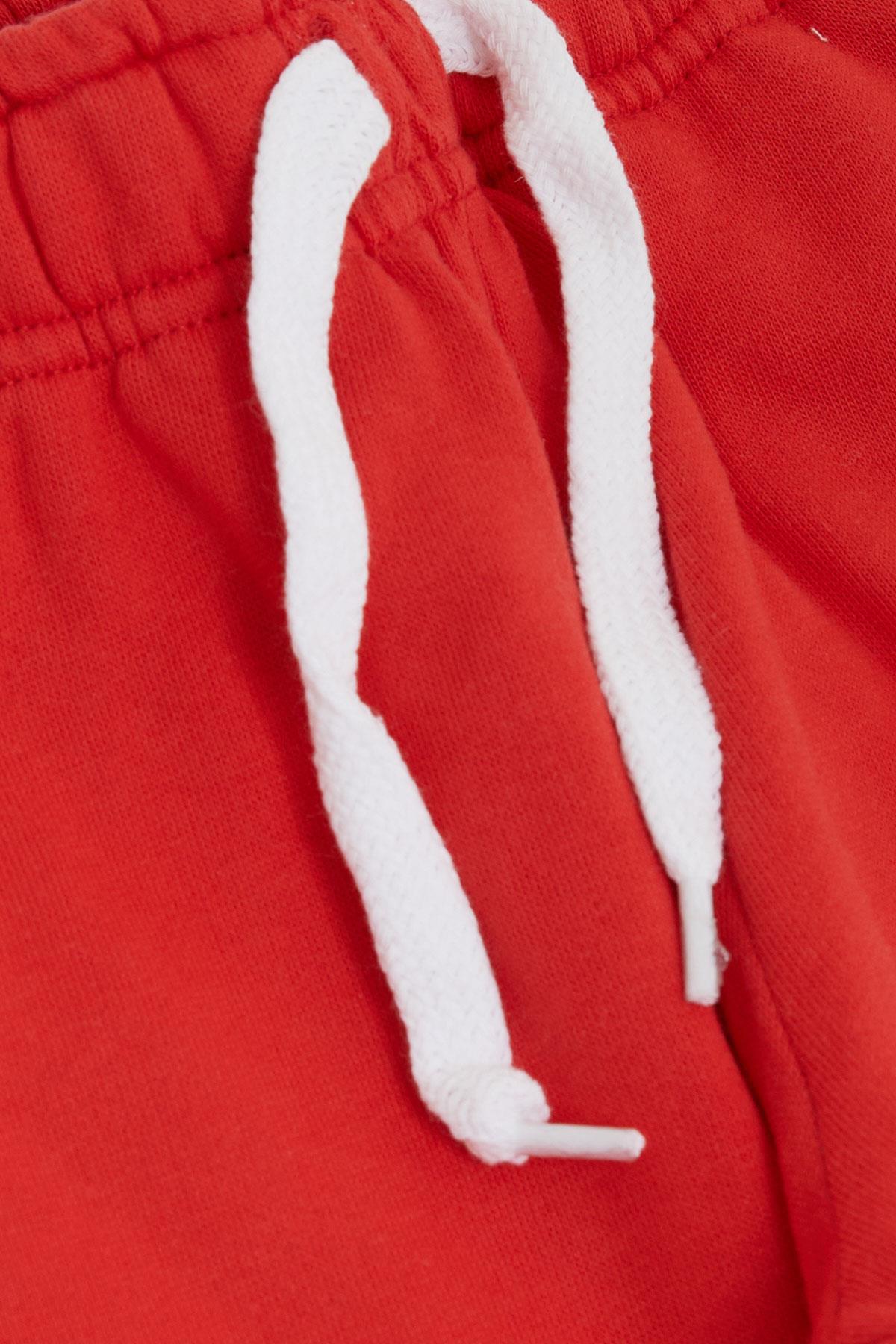 Breeze Kız Çocuk Alt Sevimli Dinozor & Kelebek Nakış Baskılı Narçiçeği (1-4 Yaş)