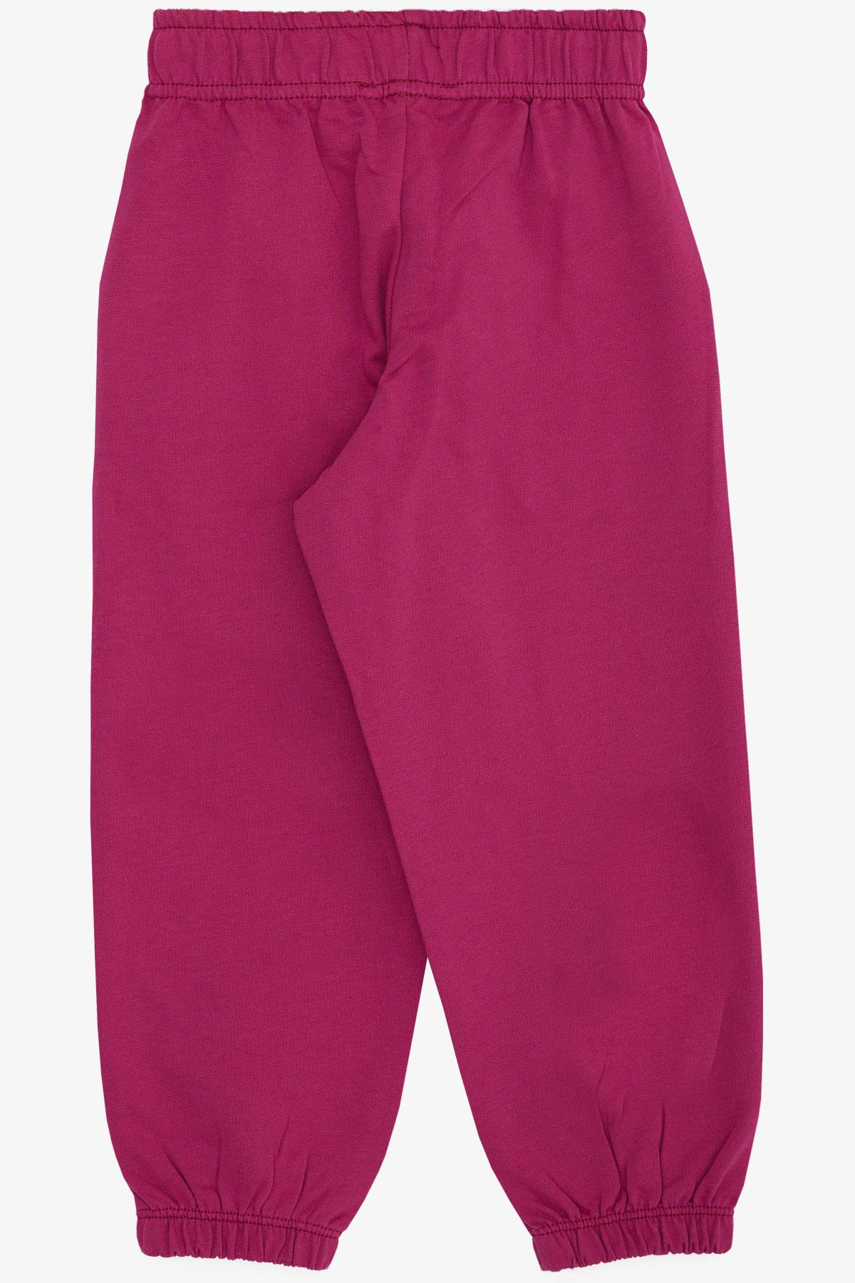 Breeze Kız Çocuk Alt Sevimli Dinozor & Kelebek Nakış Baskılı Eflatun (1-4 Yaş)