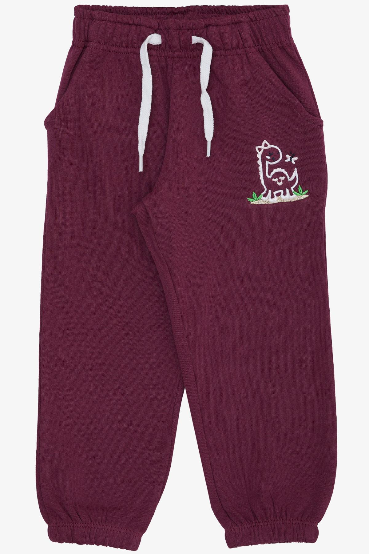 Breeze Kız Çocuk Alt Sevimli Dinozor & Kelebek Nakış Baskılı Mürdüm (1-4 Yaş)