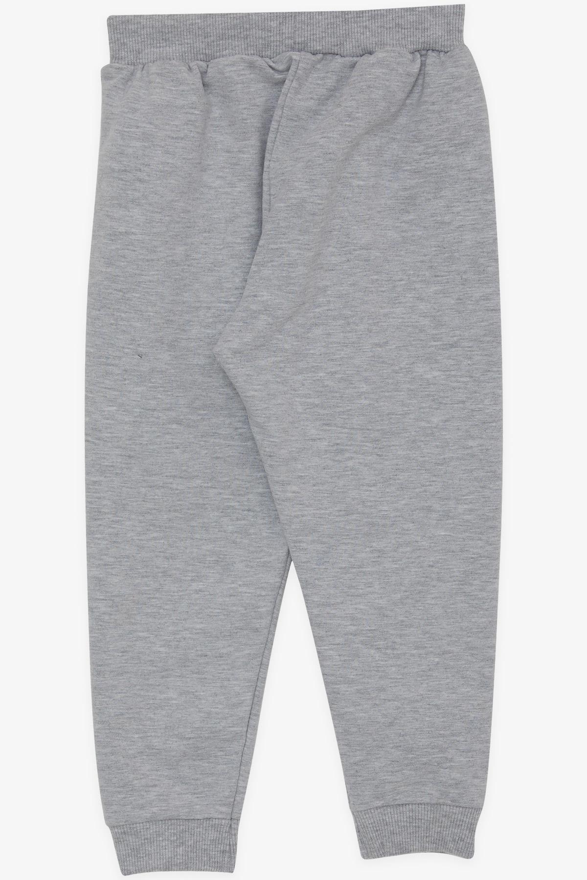 Breeze Kız Çocuk Eşofman Altı Sevimli Ayıcık Nakışlı Açık Gri Melanj (1-4 Yaş)