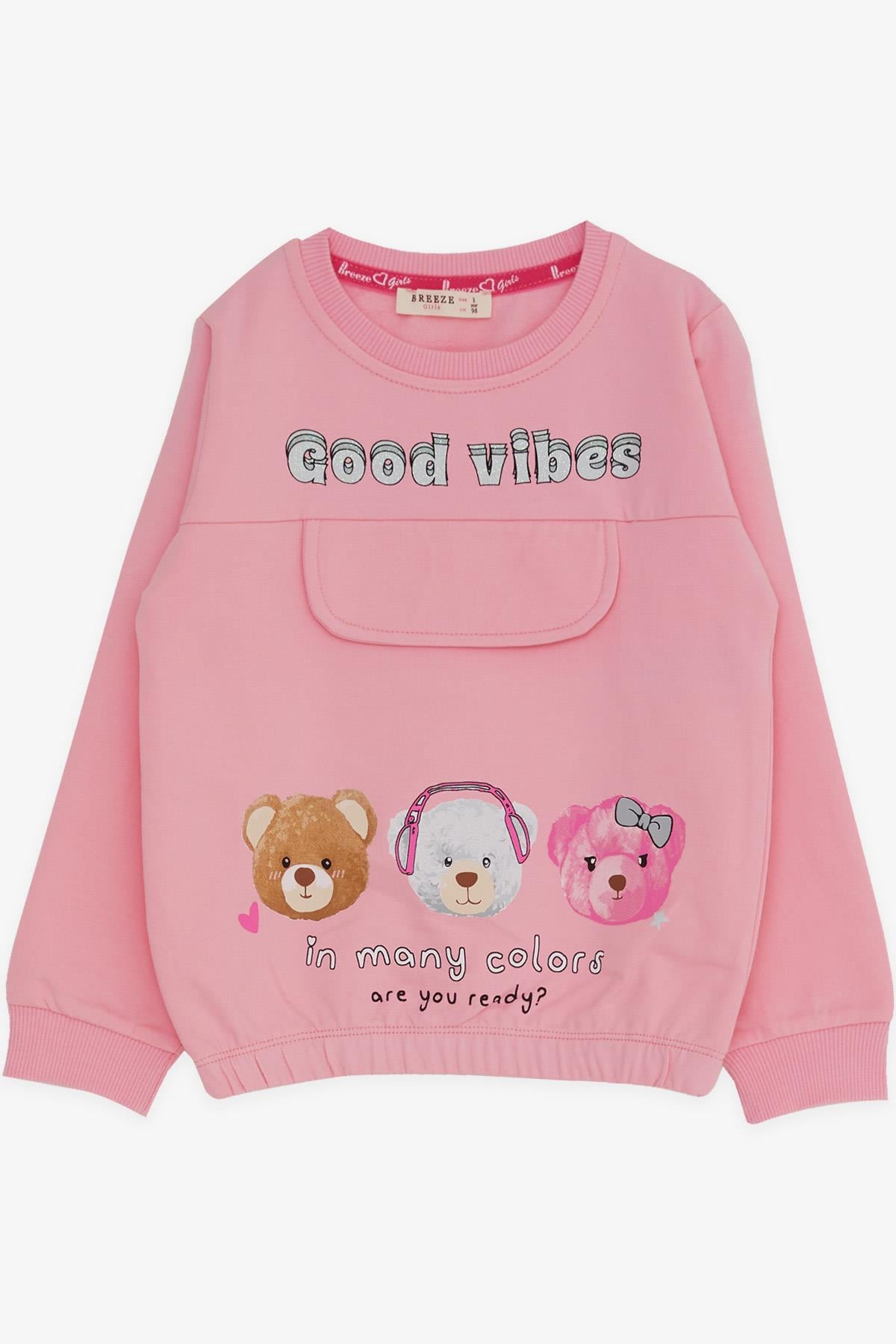 Breeze Kız Çocuk Eşofman Takımı Ayıcık Baskılı Pembe (3-8 Yaş)
