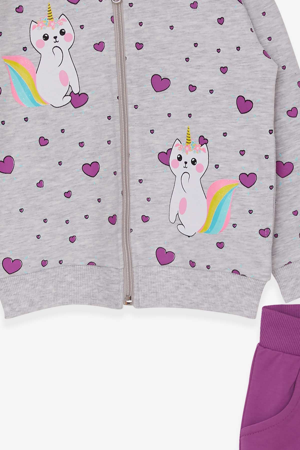 Breeze Kız Çocuk Eşofman Takımı Caticorn Baskılı Açık Gri Melanj (1.5-5 Yaş)