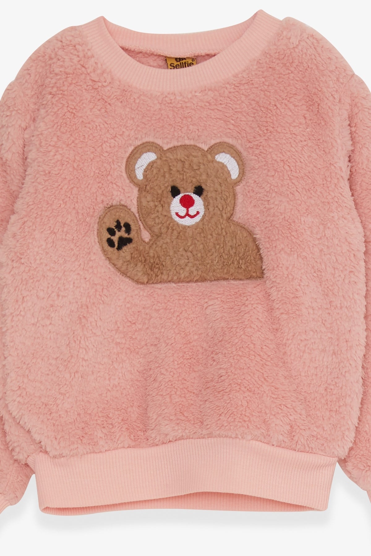 Breeze Kız Çocuk Eşofman Takımı Peluş Ayıcık Nakışlı Pudra (1-2-3-4 Yaş)