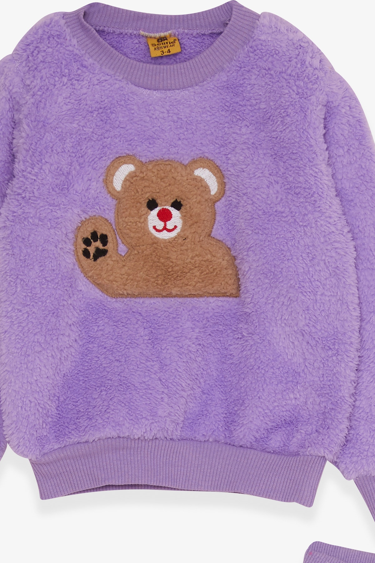 Breeze Kız Çocuk Eşofman Takımı Peluş Ayıcık Nakışlı Lila (1-2-3-4 Yaş)
