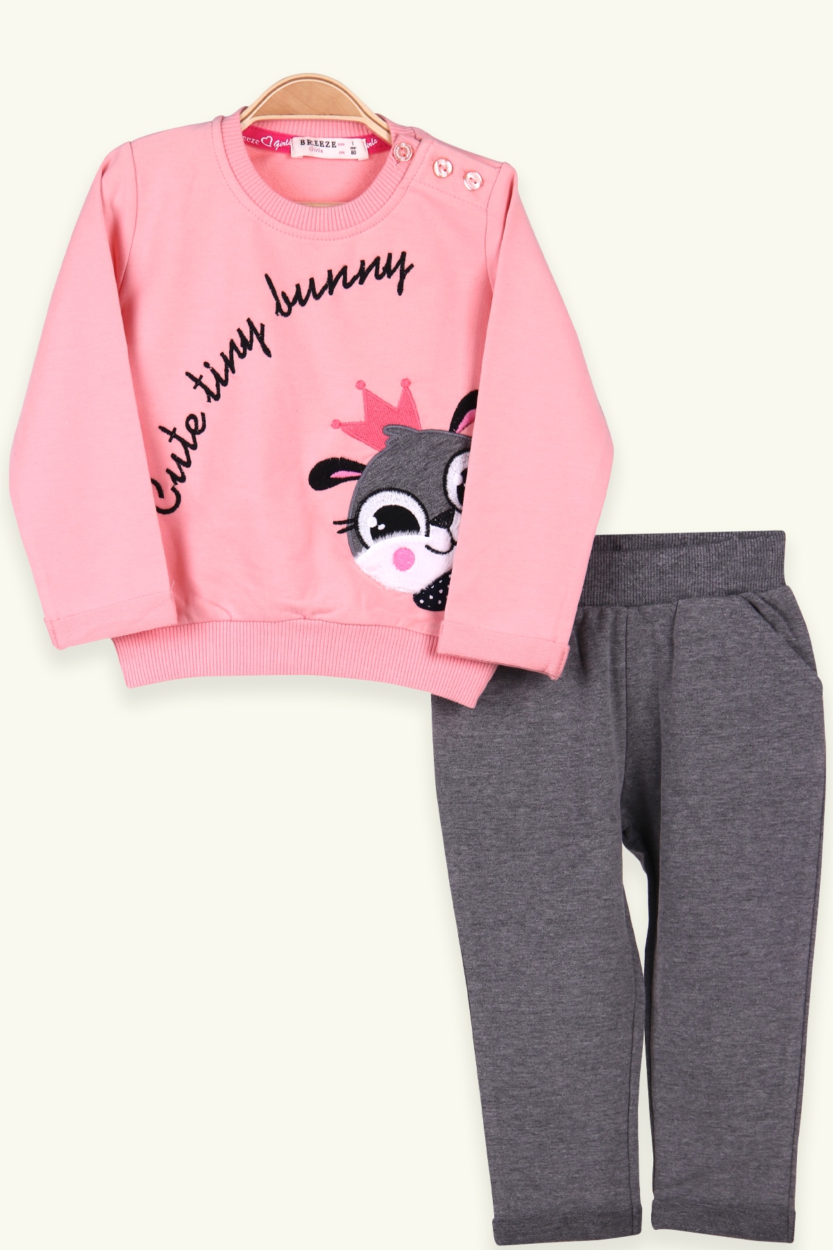 Breeze Kız Çocuk Eşofman Takımı Pembe-Gri (1-4 Yaş)