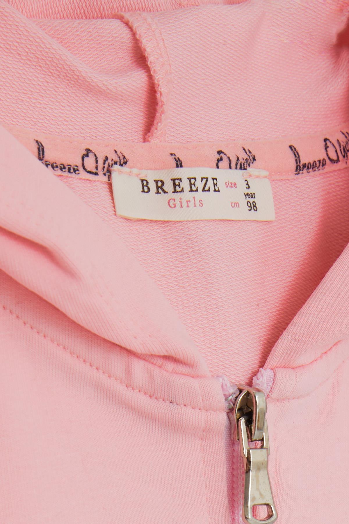 Breeze Kız Çocuk Kapüşonlu Hırka Kolları Desenli Kedicik Baskılı Pembe (1-4 Yaş)