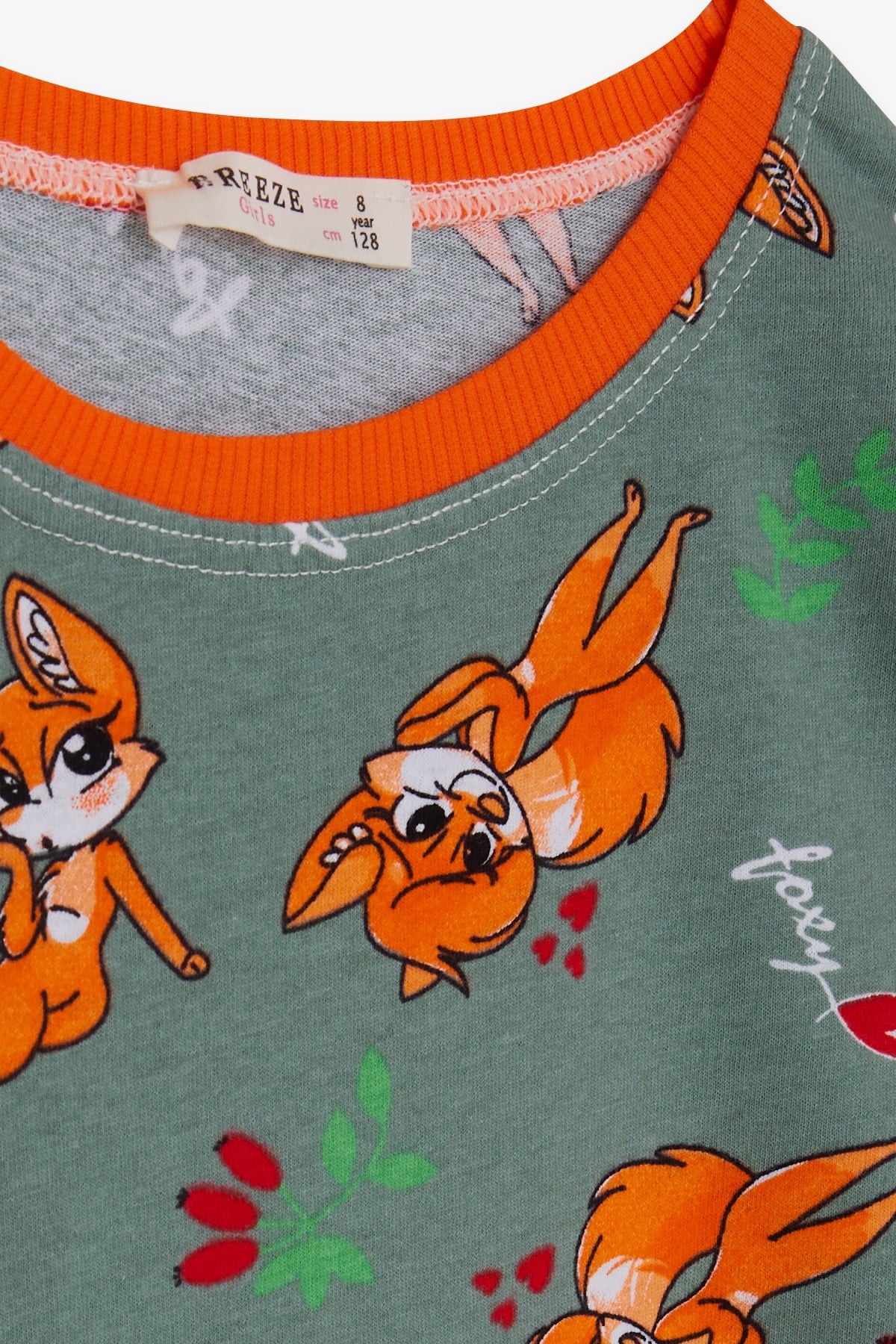 Breeze Kız Çocuk Pijama Takımı Tilkicik Desenli Mint Yeşili (4-8 Yaş)