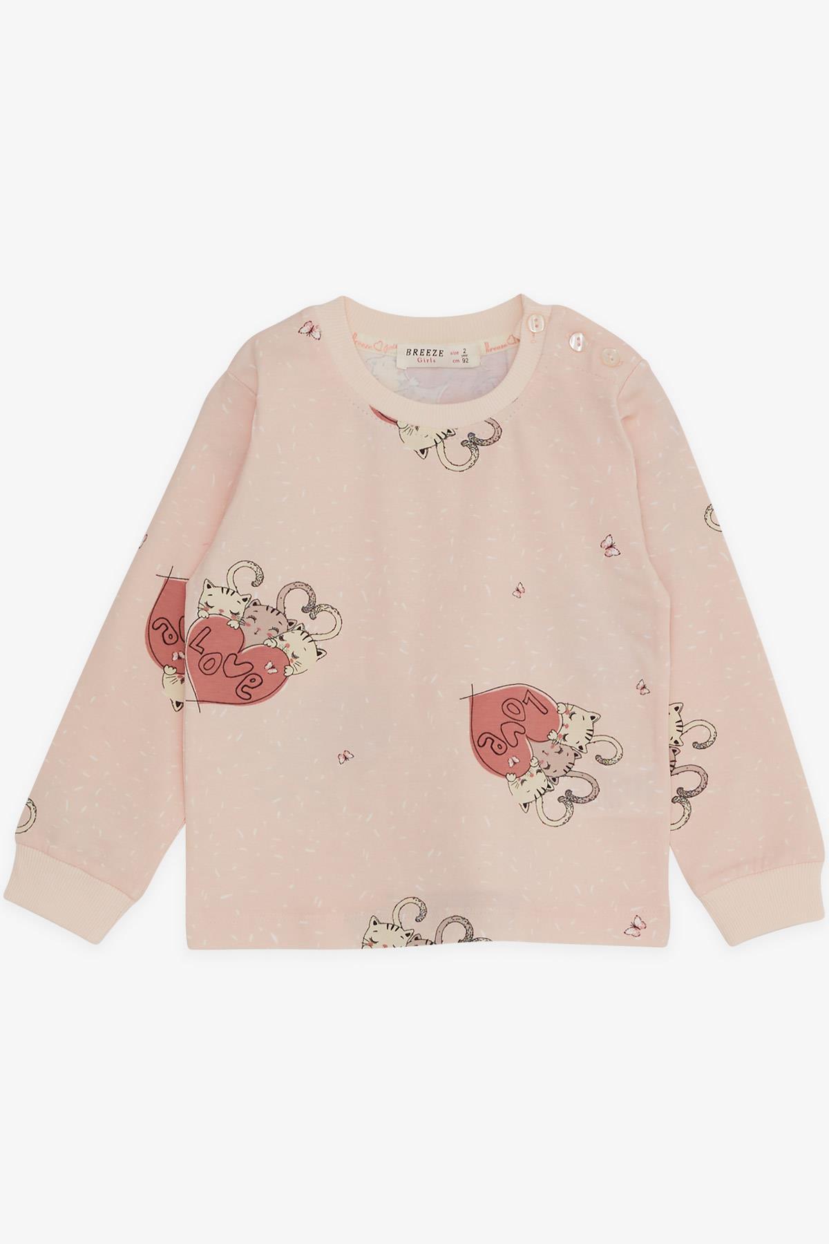 Breeze Kız Çocuk Pijama Takımı Uykucu Kedicikler Desenli Pudra (1.5-5 Yaş)