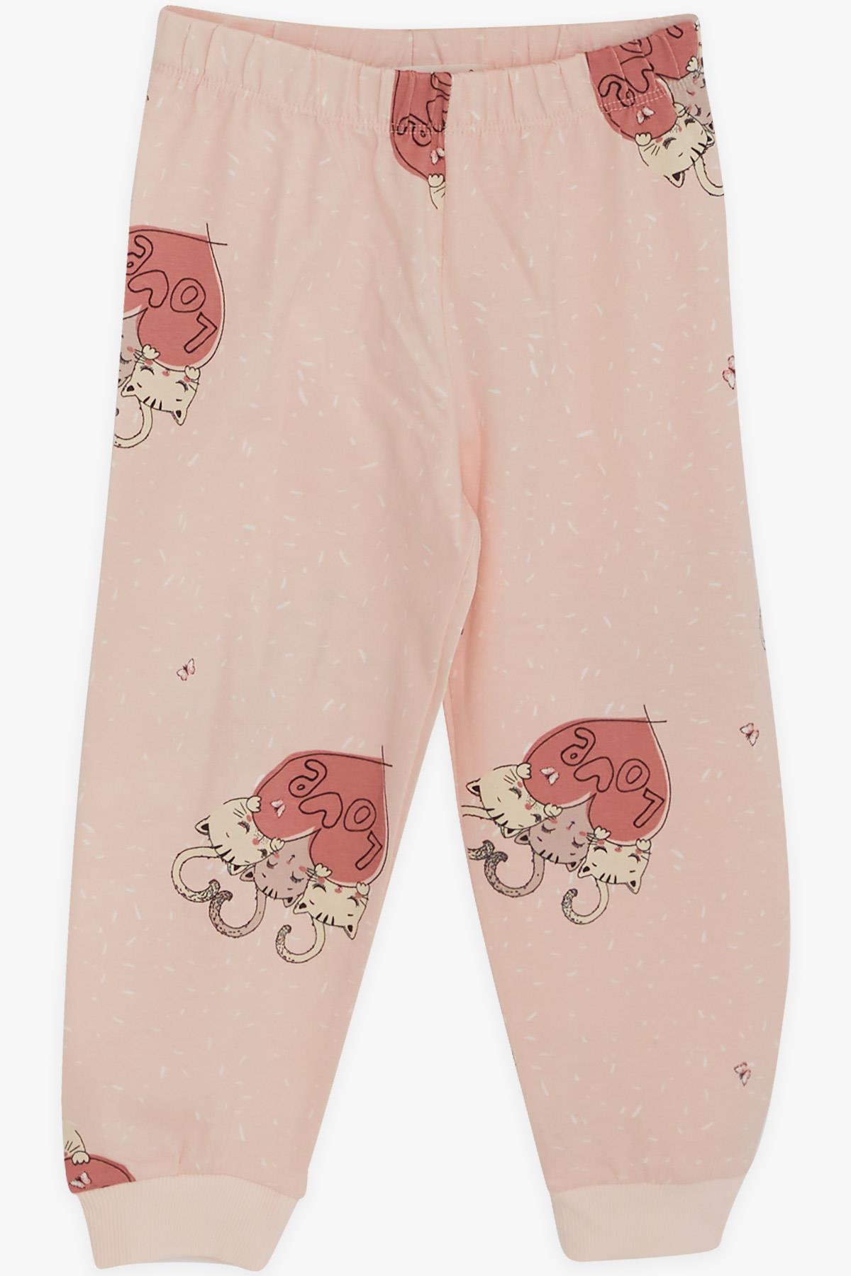 Breeze Kız Çocuk Pijama Takımı Uykucu Kedicikler Desenli Pudra (1.5-5 Yaş)