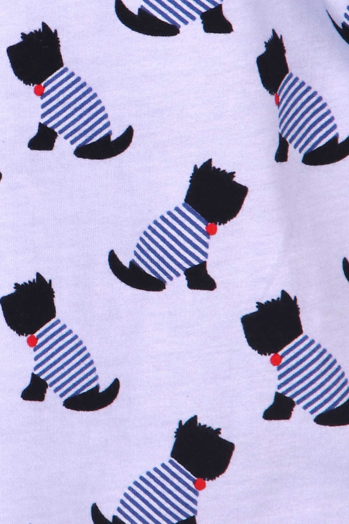 Breeze Kız Çocuk Şortlu Pijama Takımı Kedili Açık Mavi (9 Ay-8 Yaş)