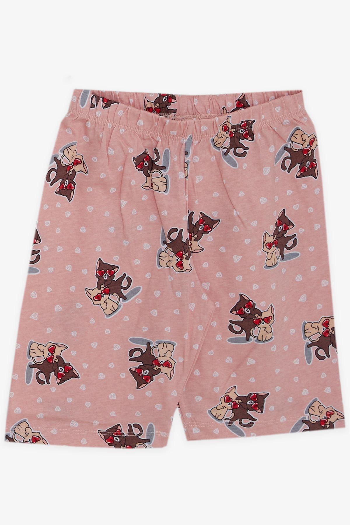 Breeze Kız Çocuk Şortlu Pijama Takımı Sevgi Temalı Sevimli Kedicikler Desenli Somon (4-8 Yaş)