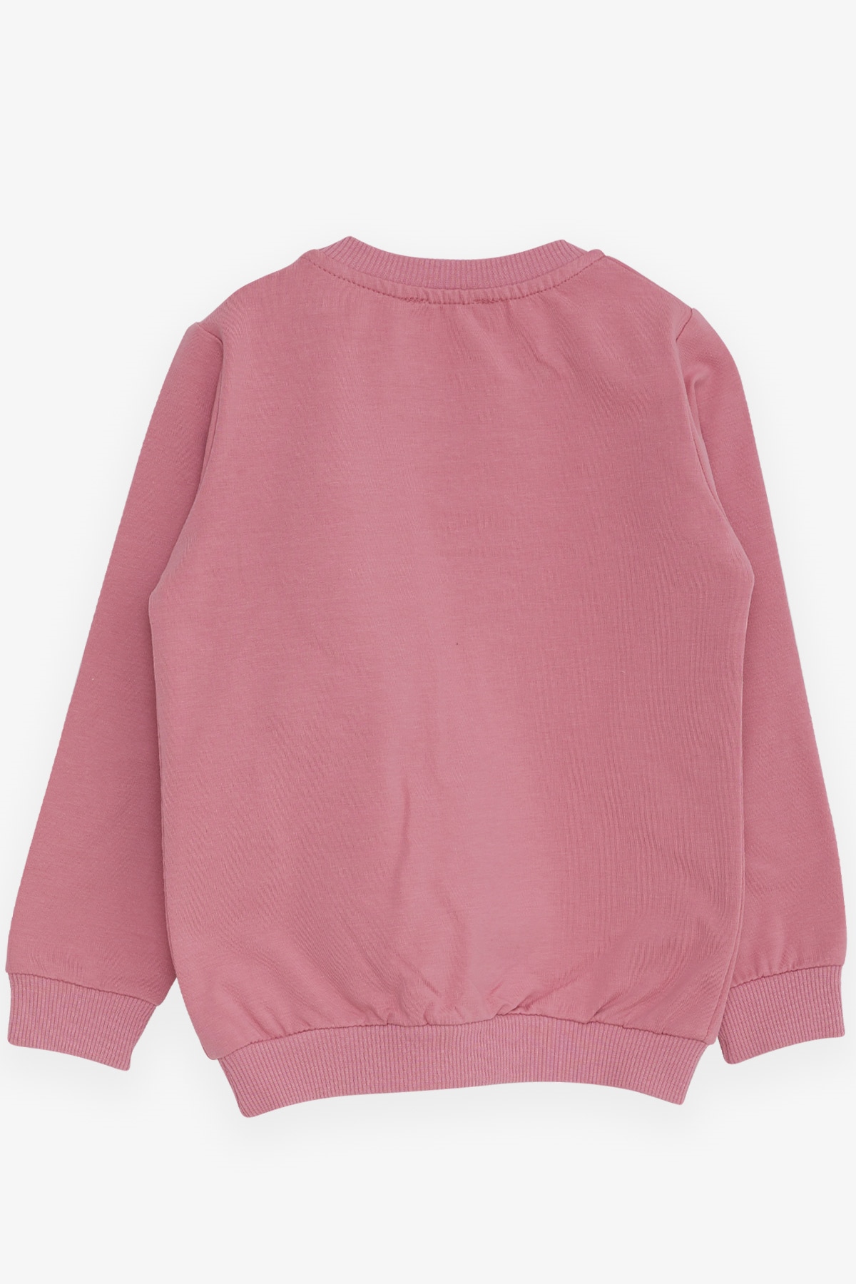 Breeze Kız Çocuk Sweatshirt Ayıcık Aksesuarlı Gülkurusu (1.5-4 Yaş)